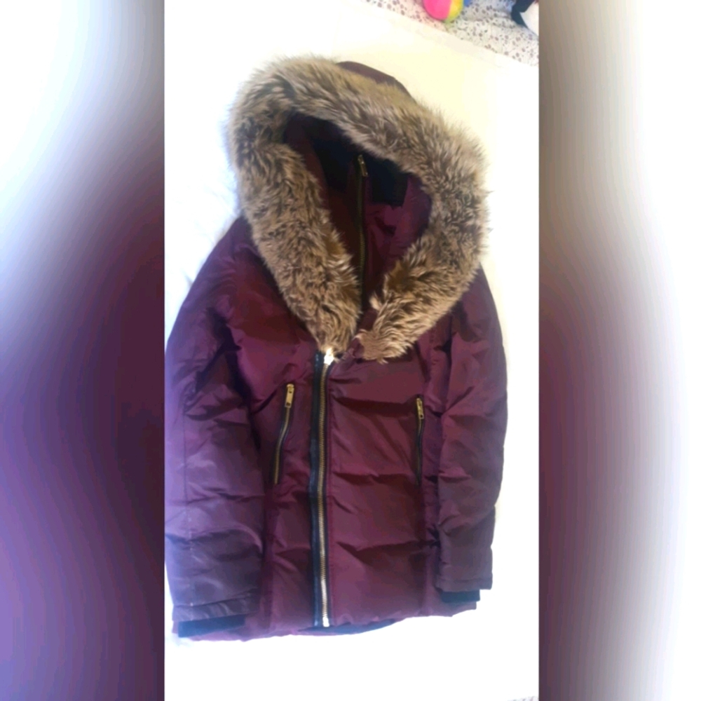 Winter Jacket